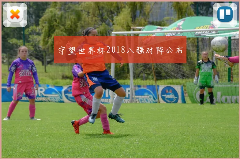 守望世界杯2018八强对阵公布
