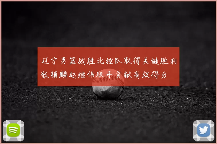 辽宁男篮战胜北控队取得关键胜利张镇麟赵继伟联手贡献高效得分