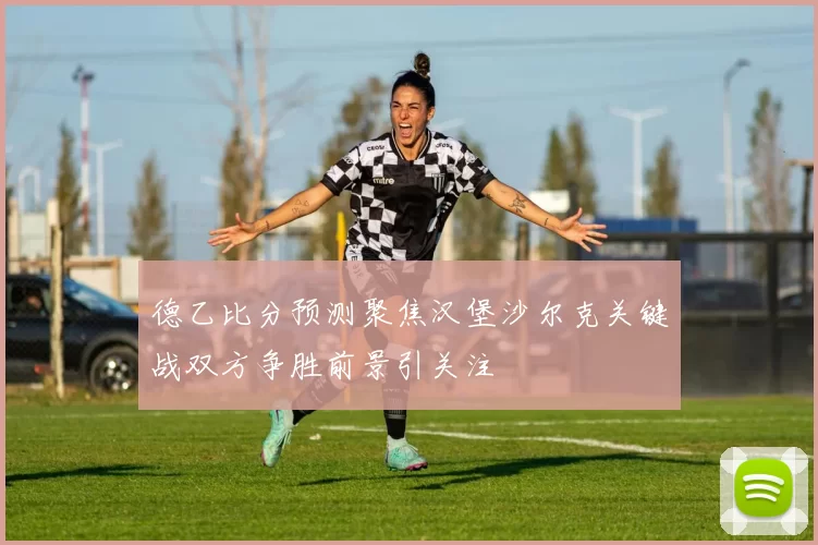德乙比分预测聚焦汉堡沙尔克关键战双方争胜前景引关注
