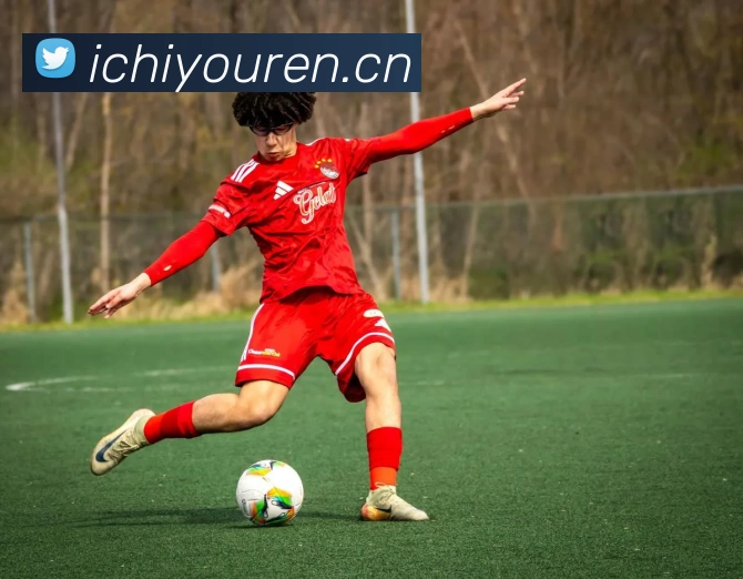 leyu乐鱼(中国)官方网站 - 登录入口平台生态图